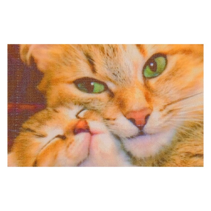 Картина стразами "Кошкина любовь"