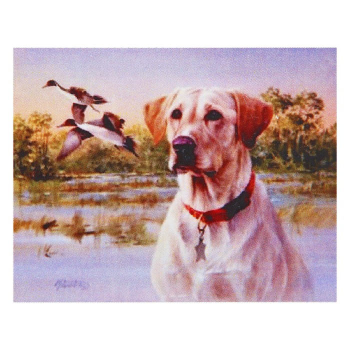 Картина стразами "Лабрадор на охоте" Джим Киллен"