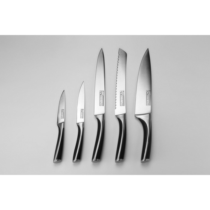 Набор ножей CS LYCHEN, 6 предметов: 5 ножей + подставка