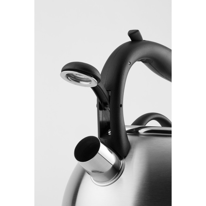 Чайник CS BONN, серый металлик, 2,5 л