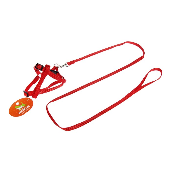 Комплект амуниции "Рельеф", поводок 120 х 1 см, шлейка 29-42 х 1 см, красный