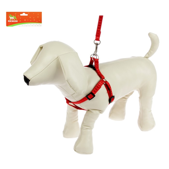 Комплект амуниции "Рельеф", поводок 120 х 1 см, шлейка 29-42 х 1 см, красный