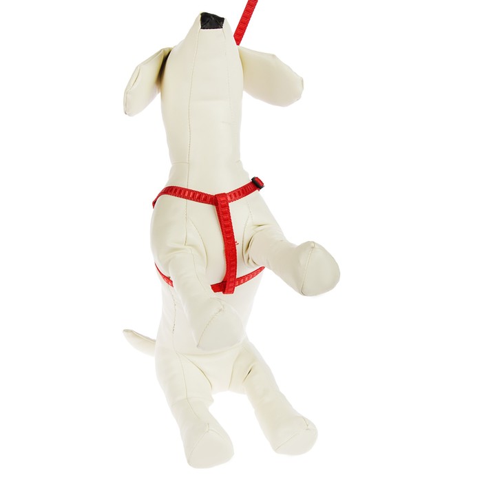 Комплект амуниции "Рельеф", поводок 120 х 1 см, шлейка 29-42 х 1 см, красный