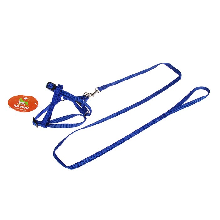 Комплект амуниции "Рельеф", поводок 120 х 1 см, шлейка 29-42 х 1 см, голубой