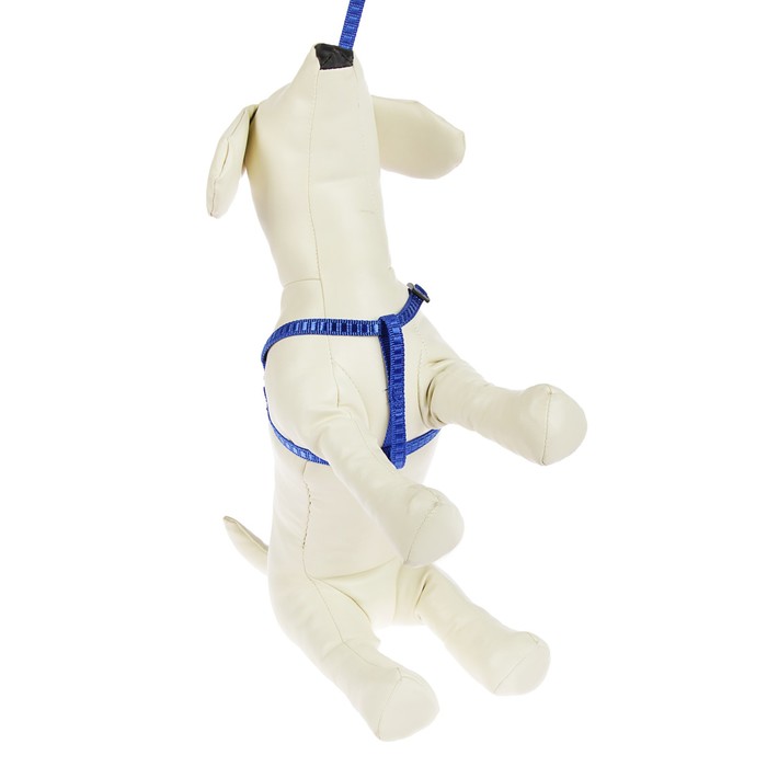 Комплект амуниции "Рельеф", поводок 120 х 1 см, шлейка 29-42 х 1 см, голубой