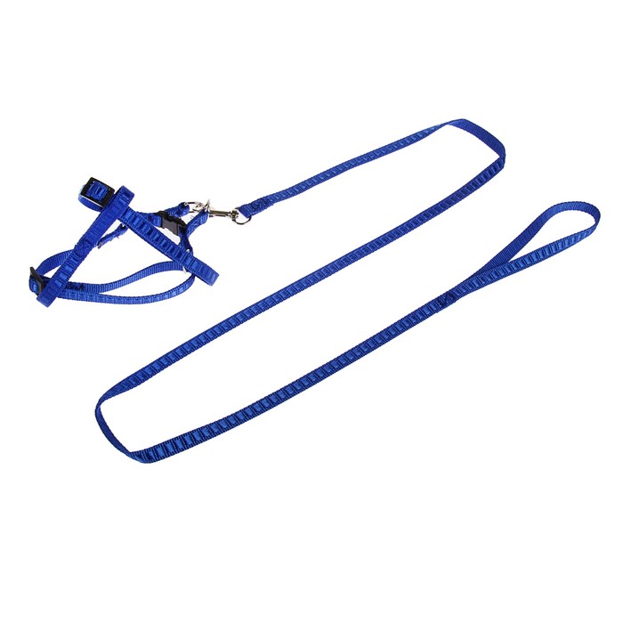 Комплект амуниции "Рельеф", поводок 120 х 1 см, шлейка 29-42 х 1 см, голубой