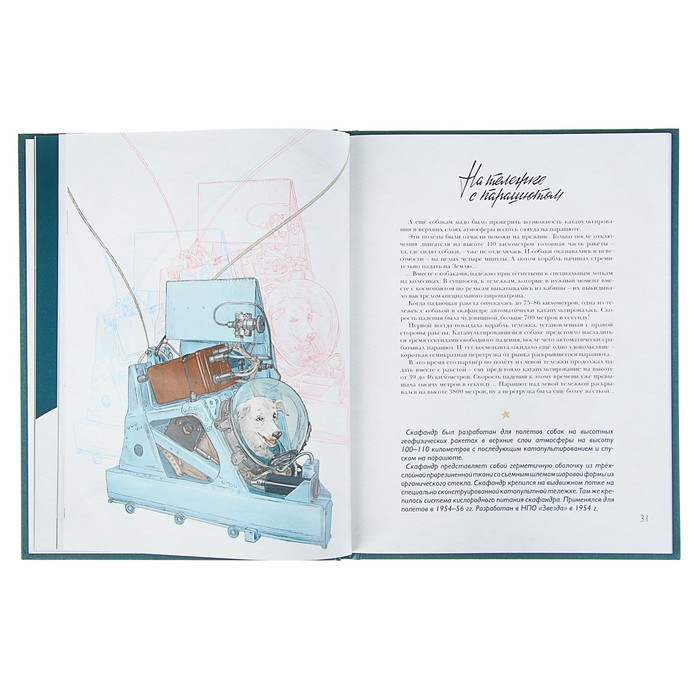 Животные-космонавты. Первые покорители космоса.