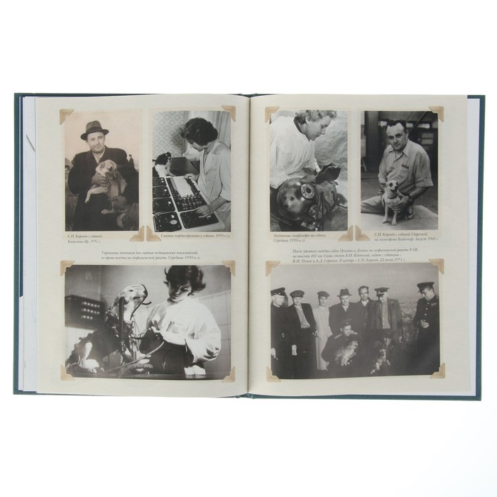 Животные-космонавты. Первые покорители космоса.