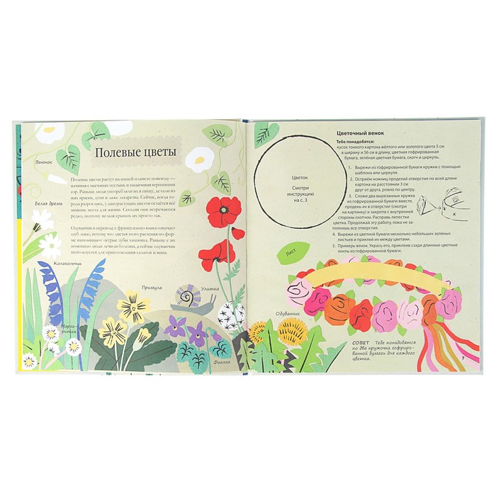 Книга природы. Мир вокруг - мой лучший друг! 3+. Битон К