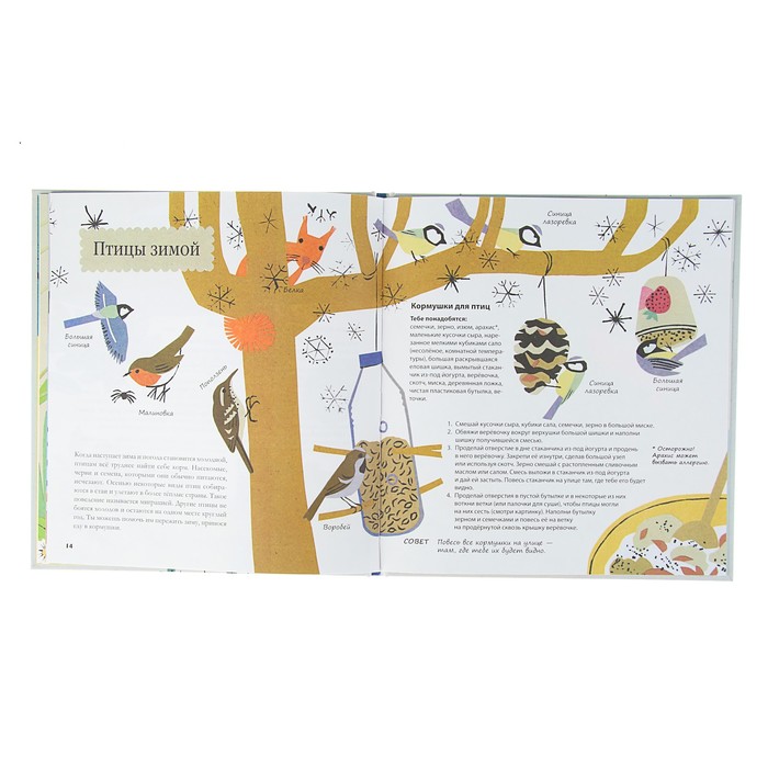 Книга природы. Мир вокруг - мой лучший друг! 3+. Битон К