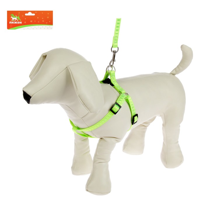 Комплект амуниции "Рельеф", поводок 120 х 1 см, шлейка 29-42 х 1 см, салатовый