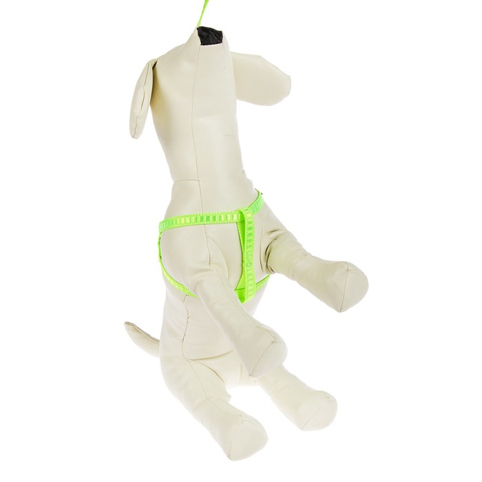 Комплект амуниции "Рельеф", поводок 120 х 1 см, шлейка 29-42 х 1 см, салатовый