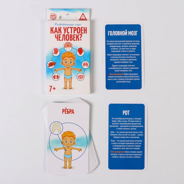 Игра развивающая "Как устроен человек"