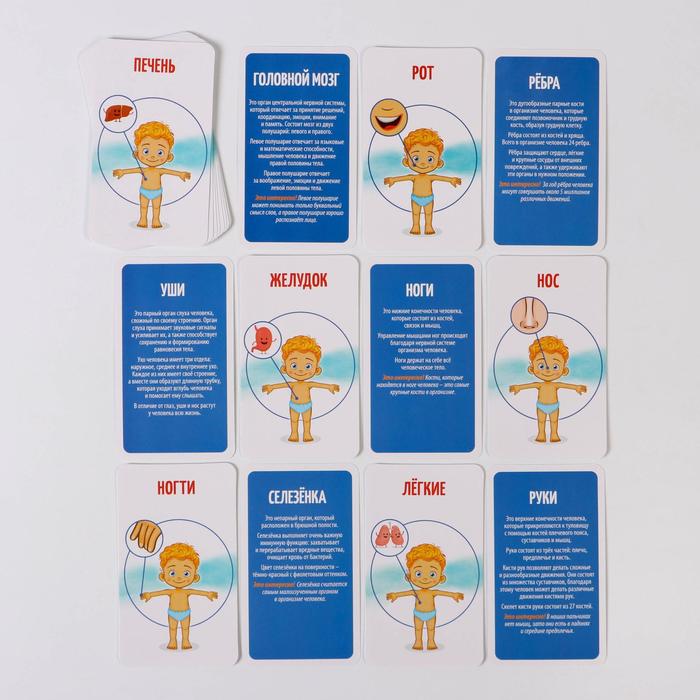 Игра развивающая "Как устроен человек"