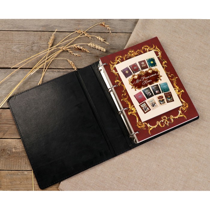 Родословная книга "Найс" чёрная 25×31,5×6 см, 108 листов, натур. кожа