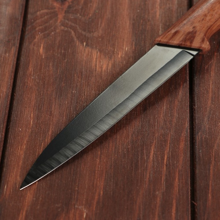 Нож с антиналипающим покрытием "Альберо.Блэк" лезвие 12 см