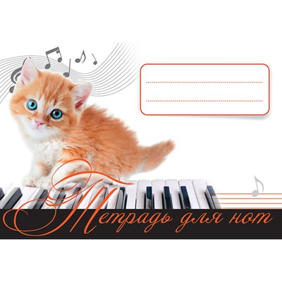 Музыка для детей. Тетрадь для нот. Рыжий котенок.