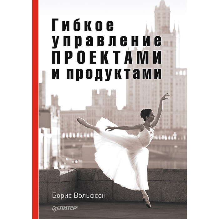 Гибкое управление проектами и продуктами. 12+ Вольфсон Б.Л.