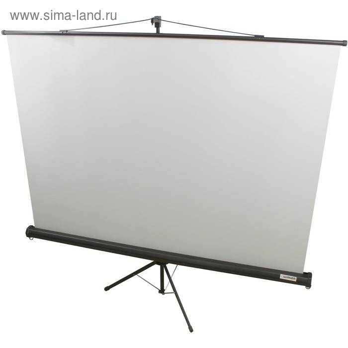 Экран Lumien 160x160 Eco View LEV-100105 1:1, напольный, рулонный lumien master view lmv белый