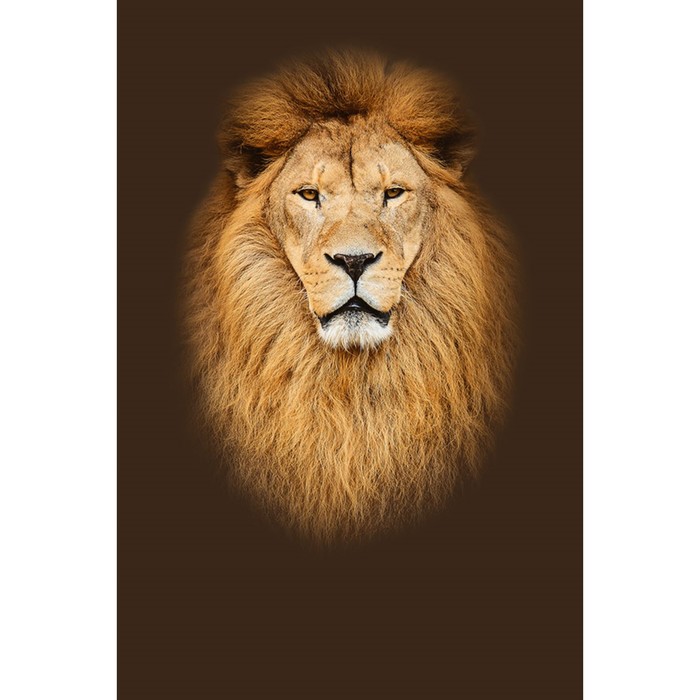 Фотообои Moda Interio "Лев" (из 2-х листов), 1,8 х 2,7м