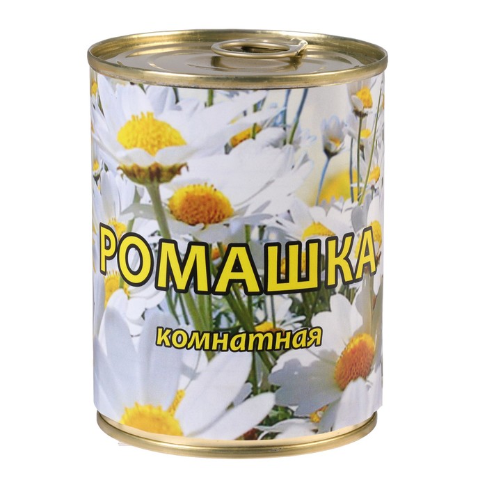 Растущая травка в банке "Ромашка комнатная"