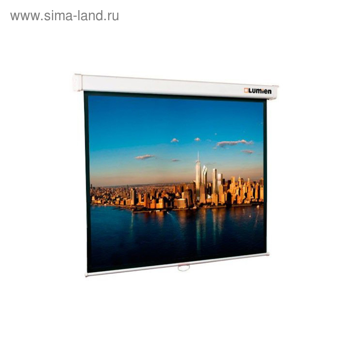 цена Экран Lumien 203x203 Master Picture LMP-100104 1:1, настенно-потолочный, рулонный