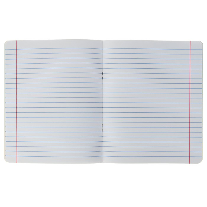 Тетрадь 12 листов линейка "Жизнь фей", обложка мелованный картон, 5 видов МИКС