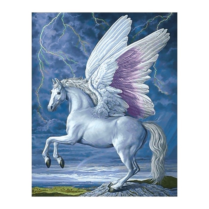 Алмазная вышивка «Пегас»