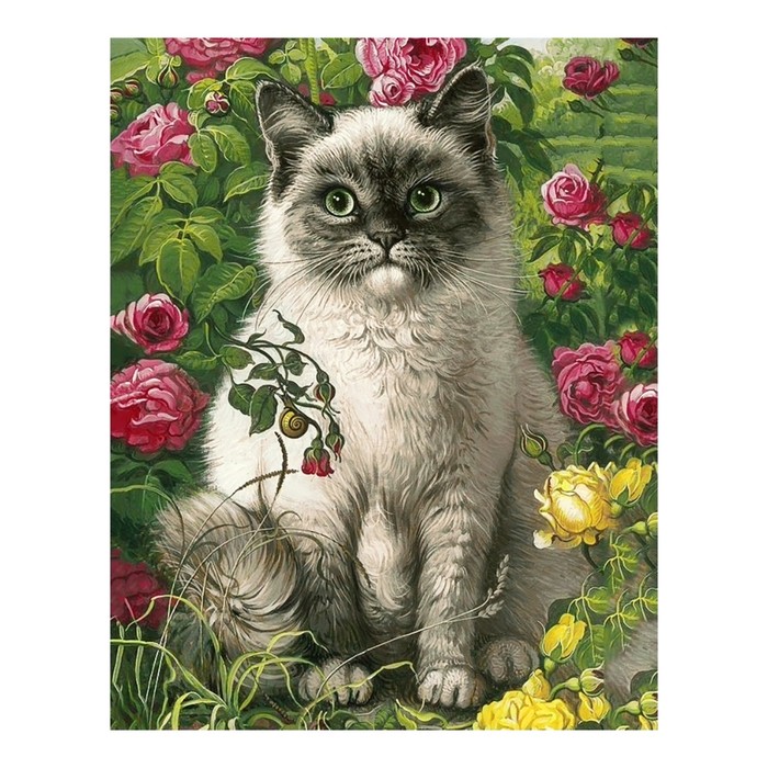 Алмазная вышивка «Кот и лето»