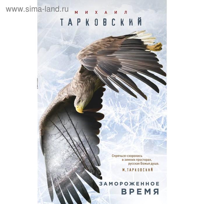 

Замороженное время. Тарковский М.А.
