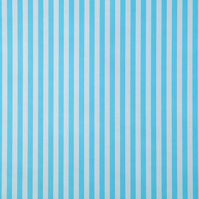 

Бумага упаковочная крафт "Полоски голубые", 0,5 х 10 м, 70 г/м² /м2