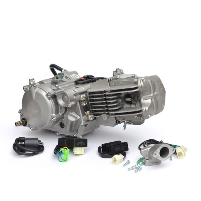 Двигатель Daytona ANIMA 2.0 4V 190 FDX