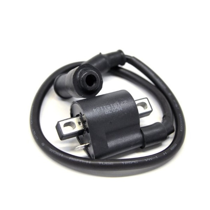 Катушка зажигания в сборе Daytona 190