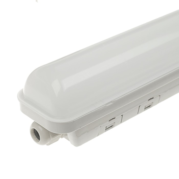 Светильник светодиодный Ecola, 36 Вт, 220 В, 6500 К, IP65, 1140х60х65 мм,