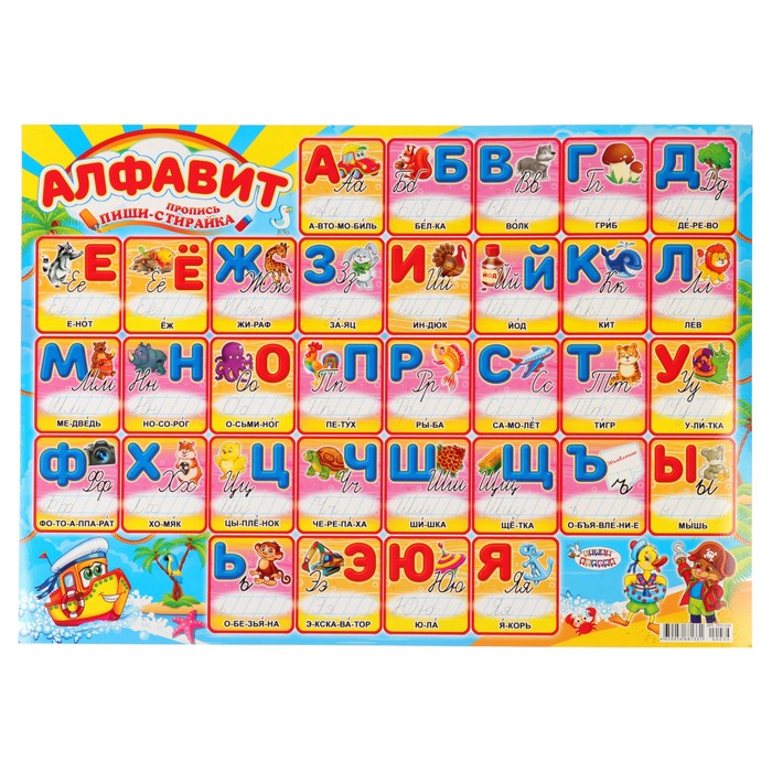 Плакат "Пиши-стирай" алфавит-прописи, А2