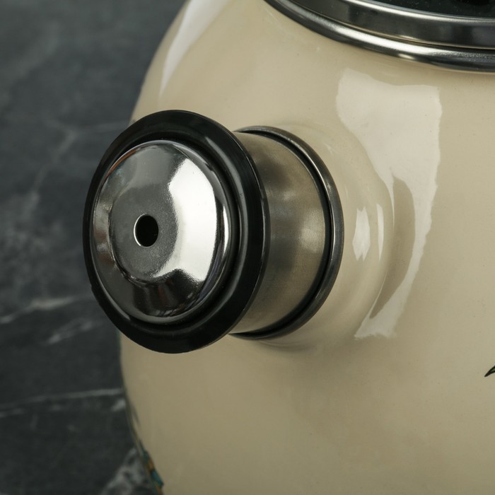 Чайник 3 л, фиксированная ручка, МИКС