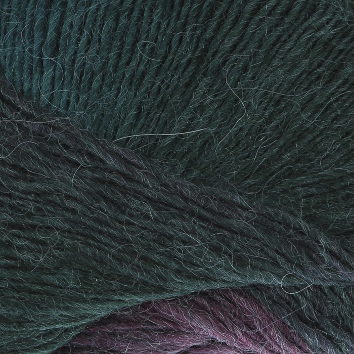 Пряжа "Arya Ebruil" 10%альпака, 10%шерсть, 80%акрил 550м/100гр (86407 принт)