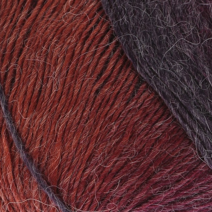 Пряжа "Arya Ebruil" 10%альпака, 10%шерсть, 80%акрил 550м/100гр (86414 принт)