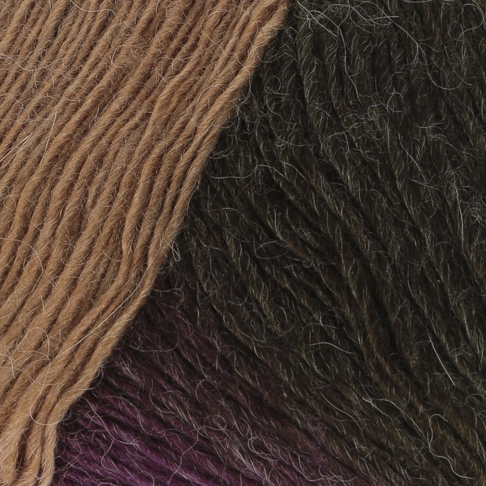 Пряжа "Arya Ebruil" 10%альпака, 10%шерсть, 80%акрил 550м/100гр (86409 принт)