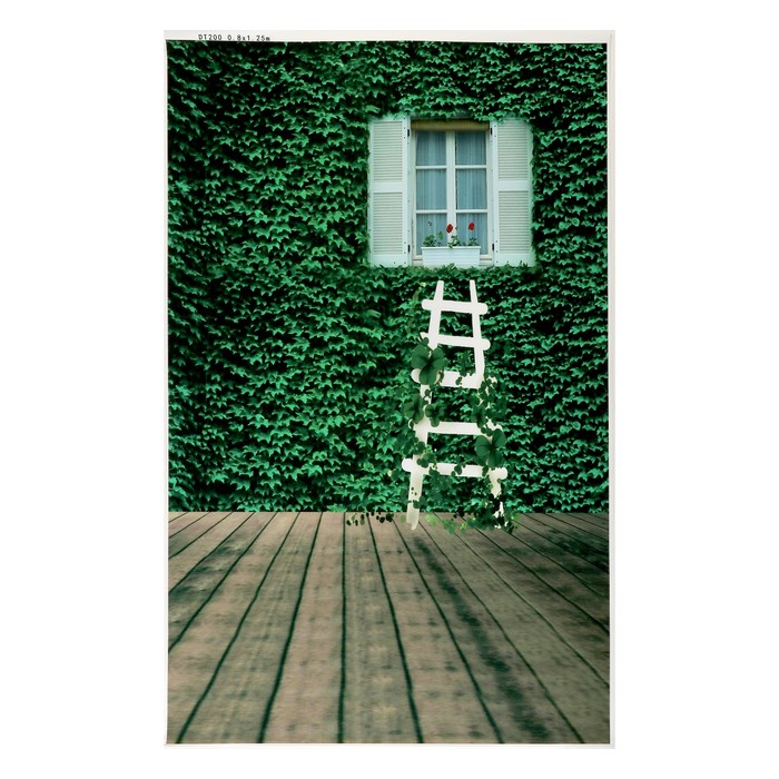 Фотофон винил "Окно и зелёная изгородь" стена+пол 80х125 см