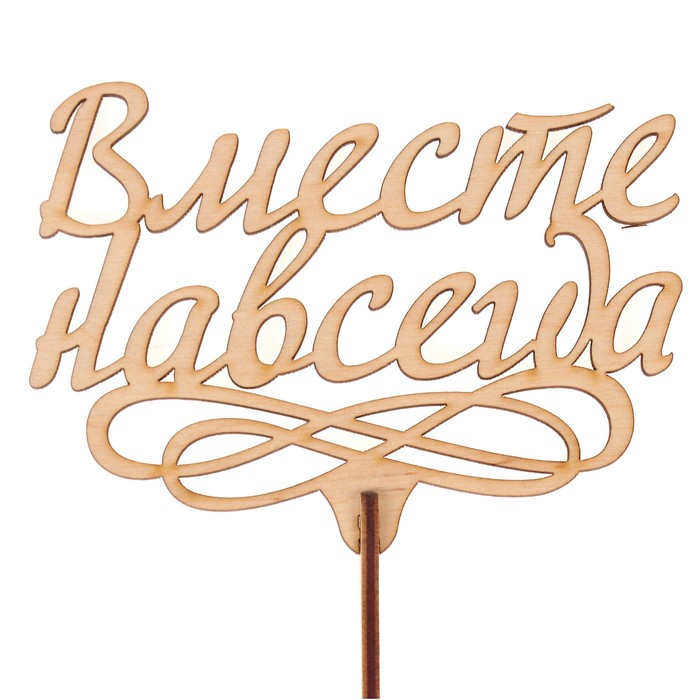 Топпер "Вместе навсегда" из фанеры, 11х8,1 см, неокраш. (ТПР-272)