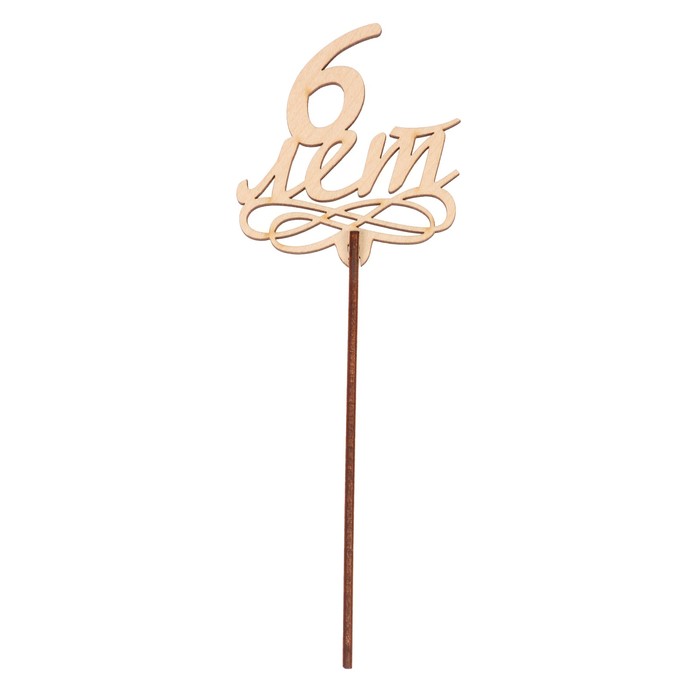 Топпер "6 лет" из фанеры, 7х7,5 см, неокраш. (ТПР-297)