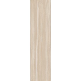 

Керамогранит Aston Wood Bamboo Ret 22,5x90 (в упаковке 1,215 м2)