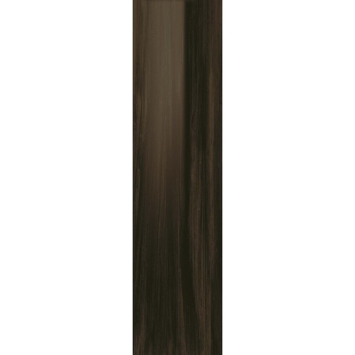 Керамогранит Aston Wood Dark Oak Lap 22x88 (в упаковке 1,162 м2)