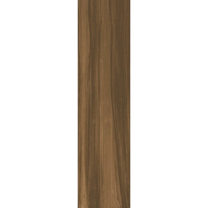Керамогранит Aston Wood Elm Ret 22,5x90 (в упаковке 1,215 м2)