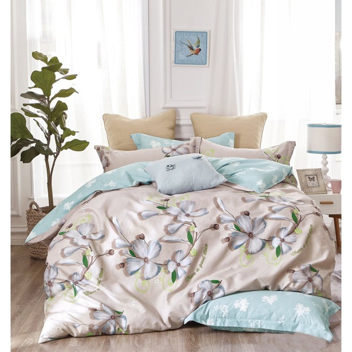 КПБ евро, 230х250 см, 200х220 см, 50х70 см, 70х70 см по 2 шт., сатин TPIG6-400