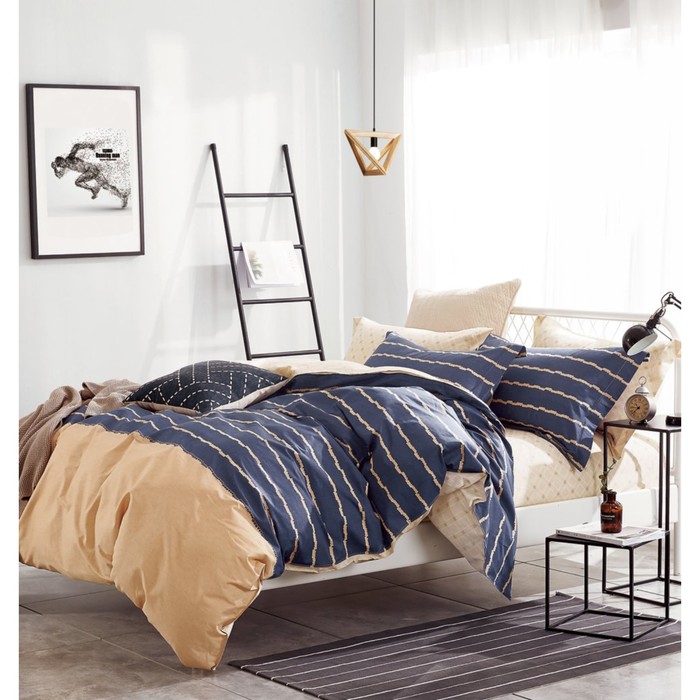 КПБ евро, 230х250 см, 200х220 см, 50х70 см, 70х70 см по 2 шт., сатин TPIG6-395