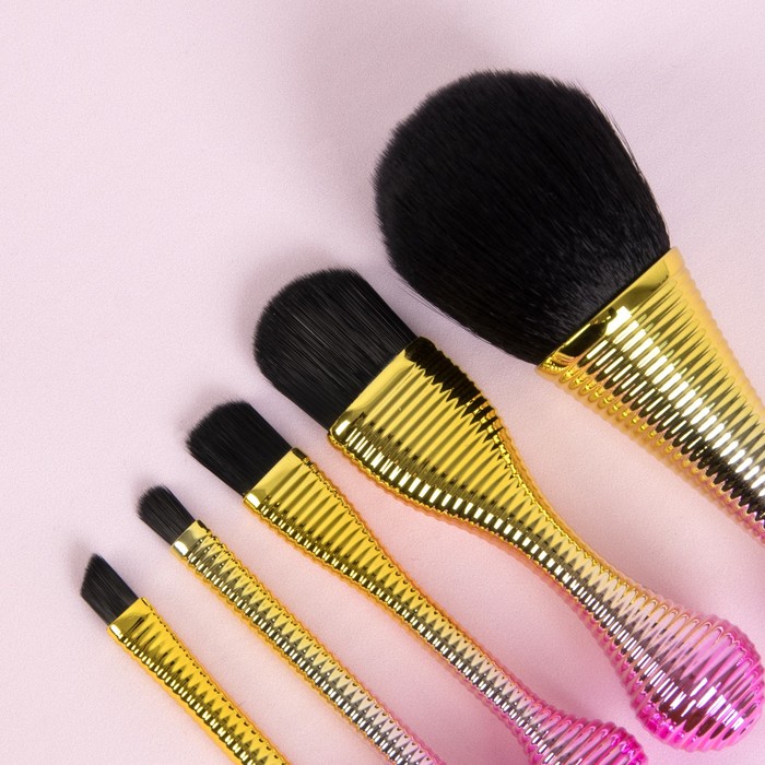 Набор кистей для макияжа, на подставке, 5 предметов, цвет МИКС