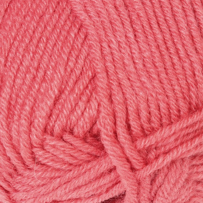 Пряжа "Superlambs special" 49% шерсть, 51% премиум акрил 200м/100гр (10313 коралловый)