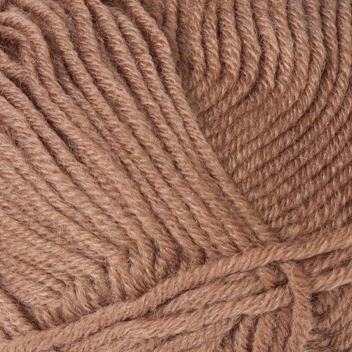 Пряжа "Superlambs special" 49% шерсть, 51% премиум акрил 200м/100гр (11516 грибной)